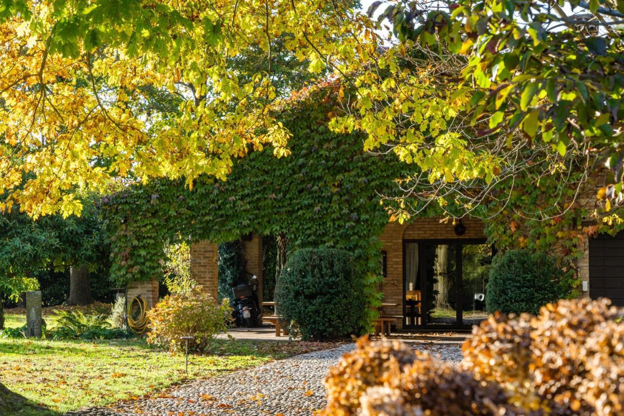 Casa Dorina Villa